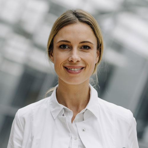 Livernois Automotive Center | homev5 Livernois Automotive Center|homev5